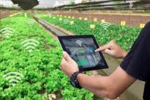SMART FARMING TECHNOLOGIES
